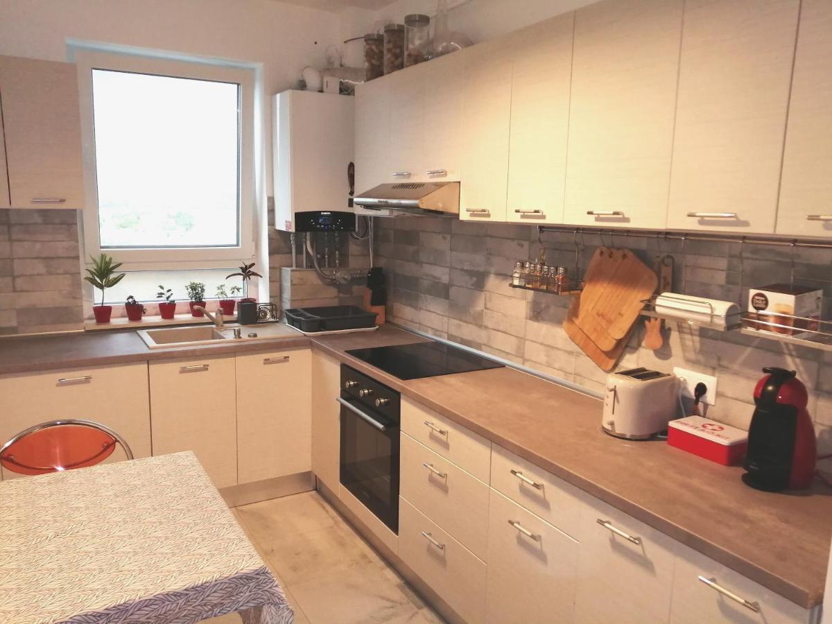 Maurer Loft Apartment Târgu-Mureş Екстериор снимка