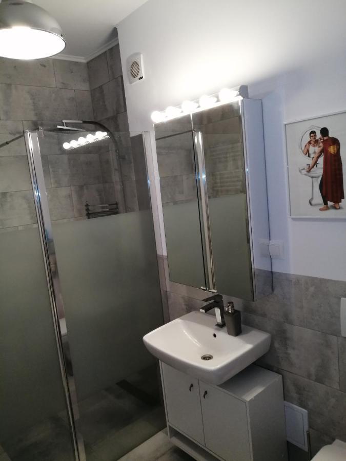 Maurer Loft Apartment Târgu-Mureş Екстериор снимка
