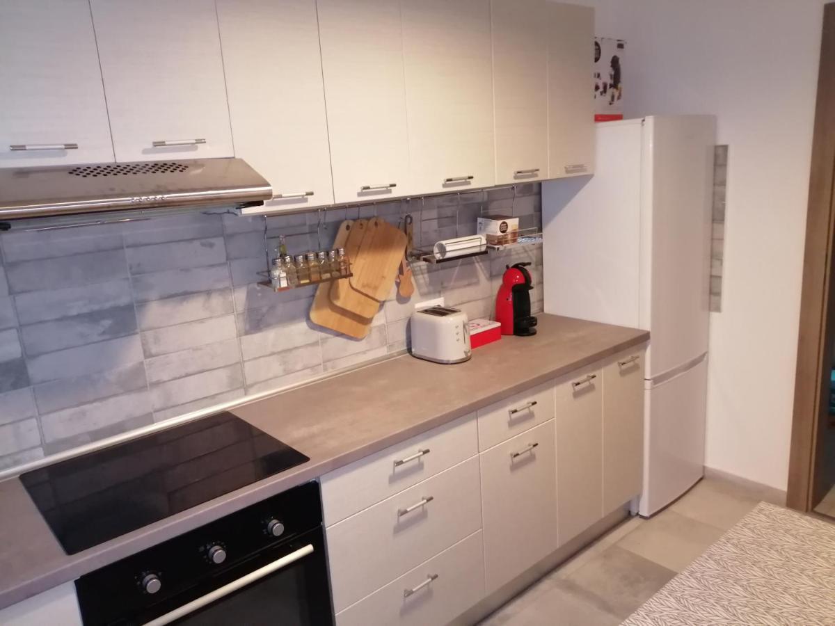 Maurer Loft Apartment Târgu-Mureş Екстериор снимка