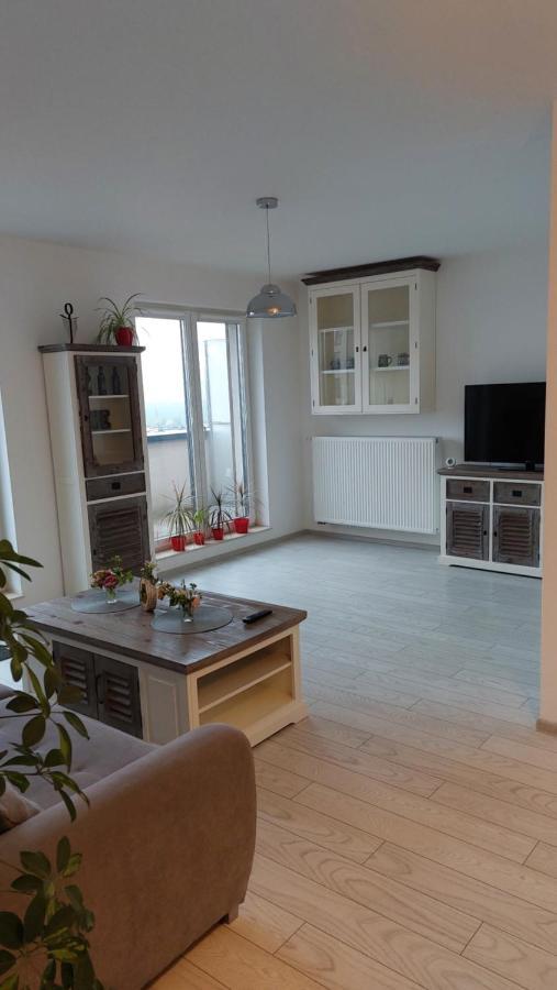 Maurer Loft Apartment Târgu-Mureş Екстериор снимка